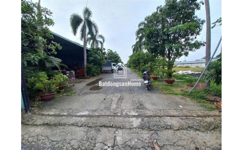 1.1Ha Đất Mặt tiền SHR, Nở hậu – Phạm Thị Giây Hóc Môn SS